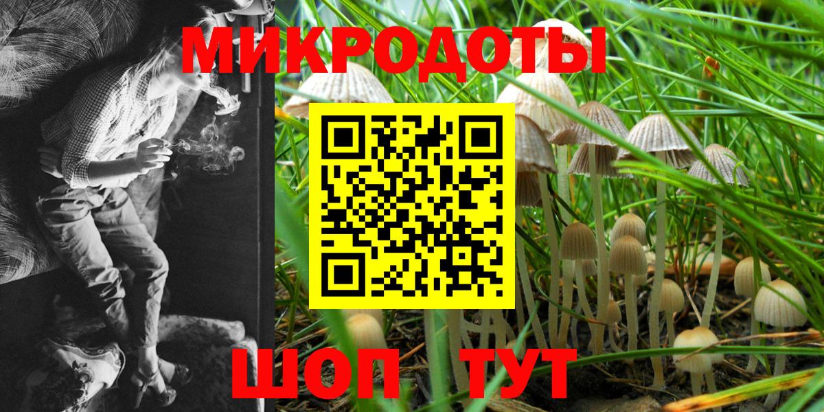 Галлюциногенные грибы GOLDEN TEACHER Ставрополь