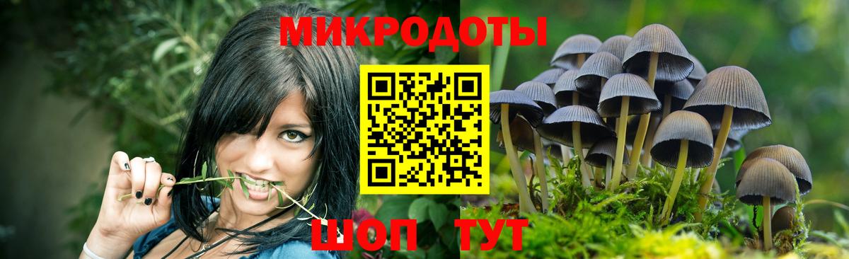 Псилоцибиновые грибы мухоморы  Вход с VPN  Ставрополь  Псилоцибиновые грибы мицелий 