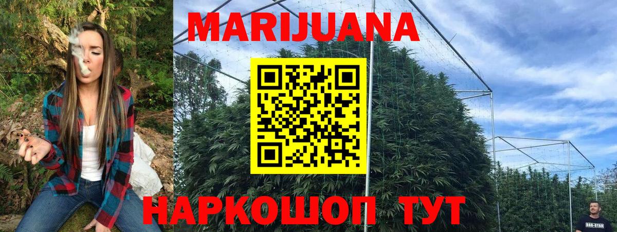 Конопля White Widow Ставрополь